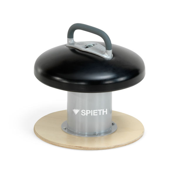 Mushroom with Pommel