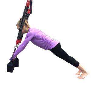 Suspension Training System