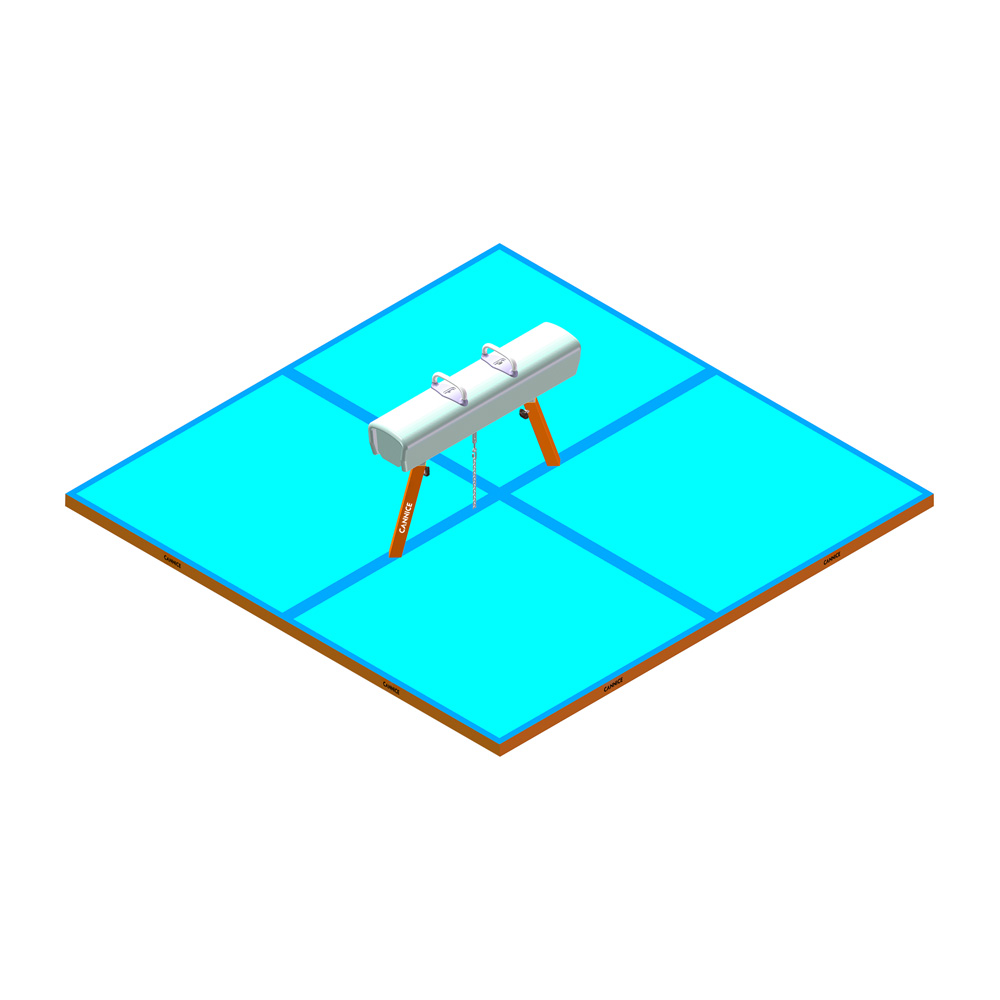 Cannice Amco Gymnastics