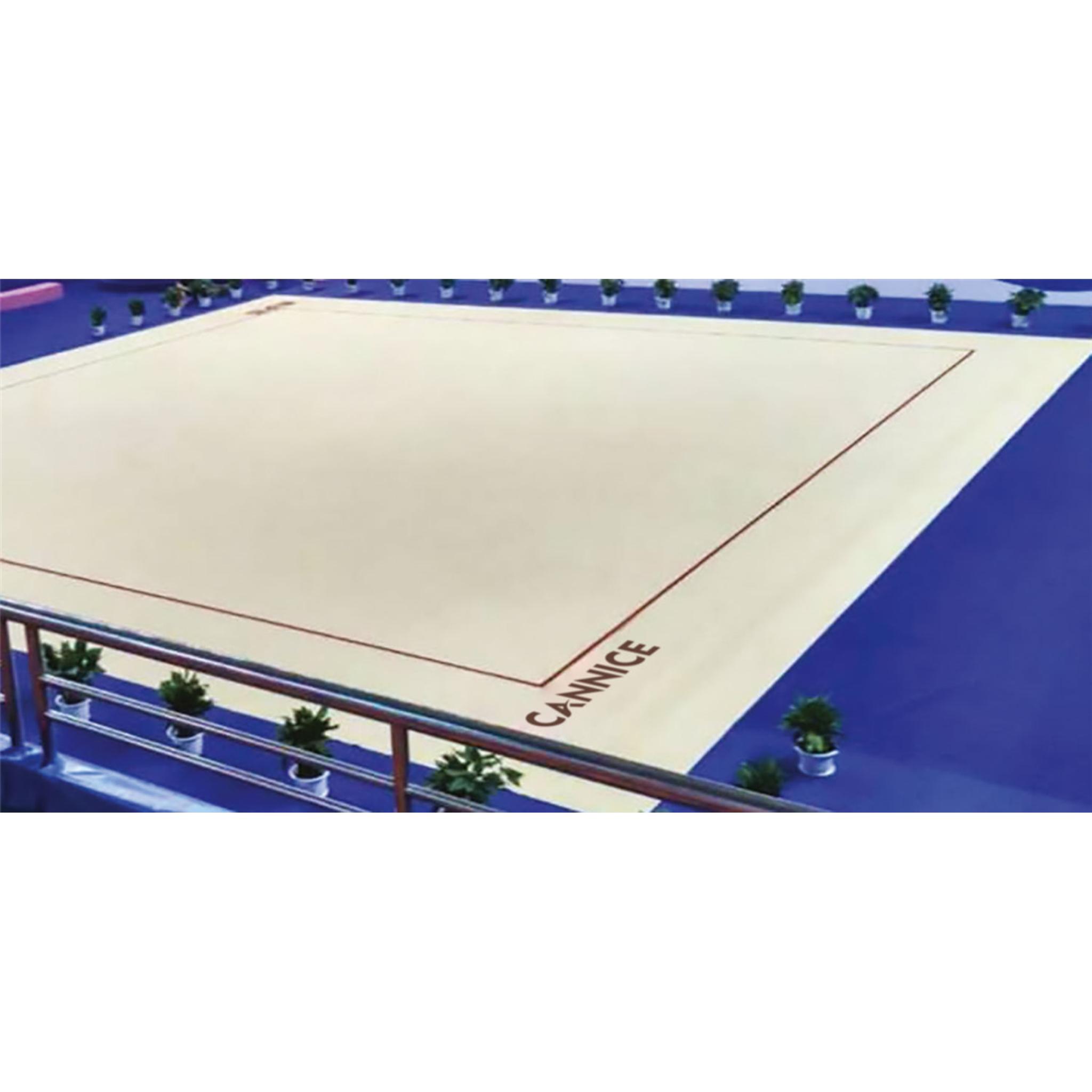 Rhythmic Gymnastics Floor AMCO Gymnastics